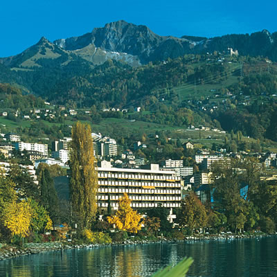 p1.jpg